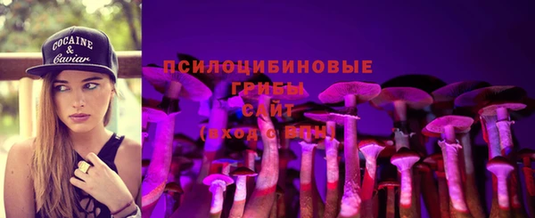 герыч Алексин