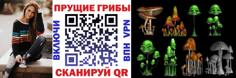 Псилоцибиновые грибы мицелий  Когалым 