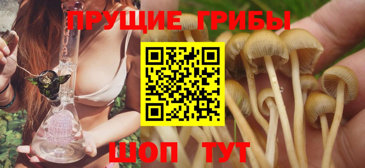 Когалым  Псилоцибиновые грибы Magic Shrooms  Вход с VPN 