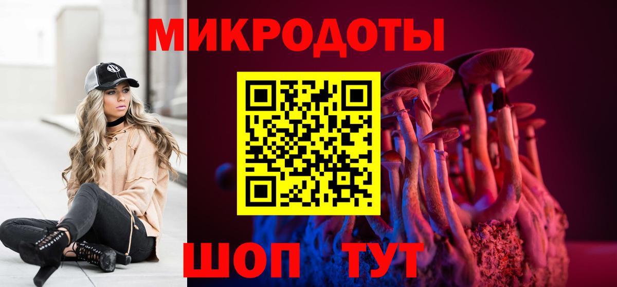 Галлюциногенные грибы Psilocybe Когалым