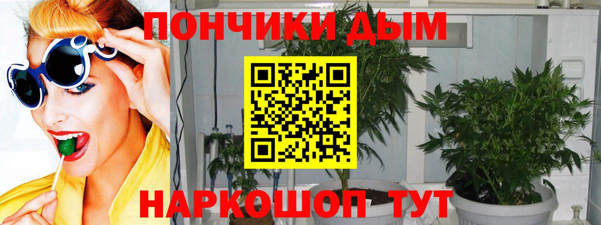 Канабис Bruce Banner Когалым
